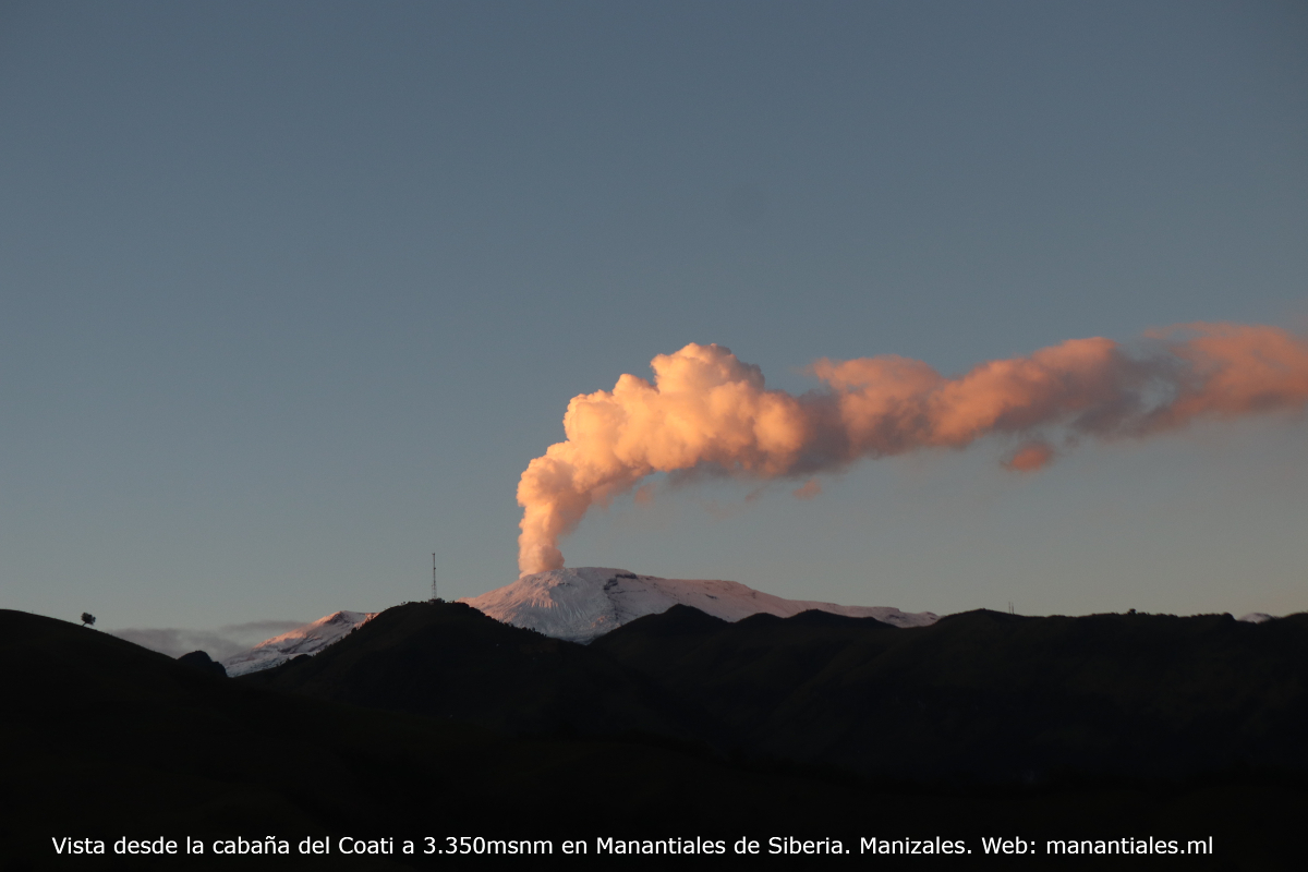 Primer plano de una Guagua de Páramo